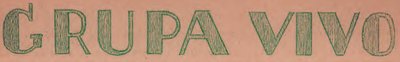 Grupa Vivo